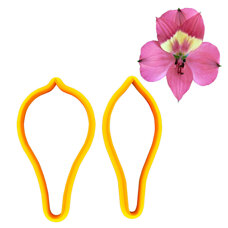 Cookie Cutters - Cutters - Alstroemeria