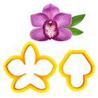 Резци - Cooktown Orchid