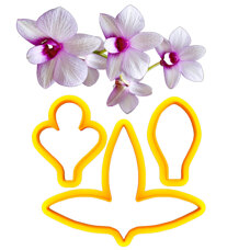 Cookie Cutters - Cutters - Dendrobium Orchid