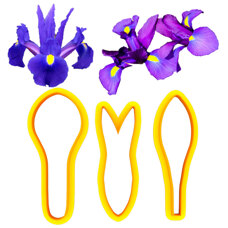 Cookie Cutters - Cutters - Dutch Iris