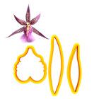 Cutters - Miltassia Orchid