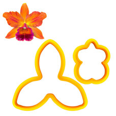 Cutters - Odontoglossum Orchid