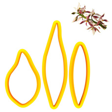 Cutters - Encyclia Fausta Orchid