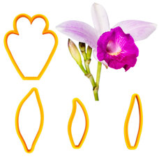 Cutters - Bamboo Orchid