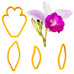 Cutters - Bamboo Orchid