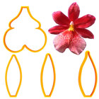 Cutters - Burrageara Orchid