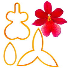 Cookie Cutters - Cutters - Butterfly Orchid