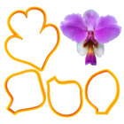 Cutters - Papilionanthe Orchid