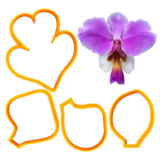 Cookie Cutters - Cutters - Papilionanthe Orchid