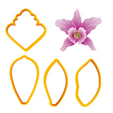 Cutters - Cymbidium Orchid