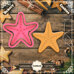 Cutter&Stamp - Starfish
