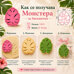 Cookie Cutter with Stamp – Monstera Leaf