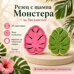 Cookie Cutter with Stamp – Monstera Leaf