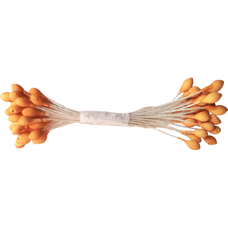 Flower Stamen - Orange