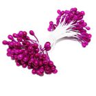 Flower Stamen - Cyclamen Rearl
