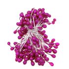 Flower Stamen - Cyclamen Rearl