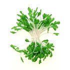 Flower Stamen - Green Ruded