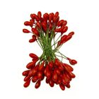 Flower Stamen - Red Pearl Wired