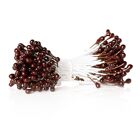 Flower Stamen - Brown Rearl