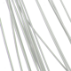 no_image