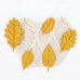 Silicone Mold - Autumn Leaves with Holder