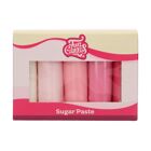 Rolled Fondant Multipack Pink Colours 5x100g