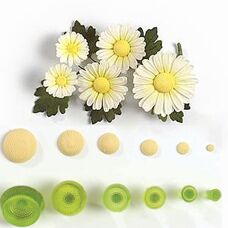 Daisy Centre Stamp Set/6
