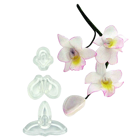 Комплект щампи - Singapore & Baby Orchid 3 бр