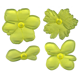 no_image