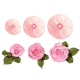 no_image