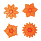 no_image