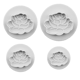 no_image