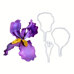 Iris Petal Cutter Set – 3 Pieces
