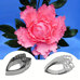 Peony Flower Cutter Set – 4 Pieces