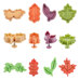 Plunger Cutters - Autumn Leaves