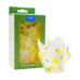 Tulip Muffin Cases – Lemons Pk/24