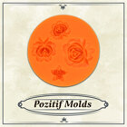 Silicone Mold - Roses 4-types No. 01